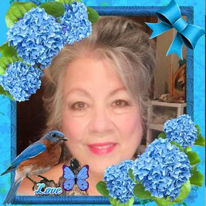 Meet your Posher, Annie